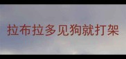 拉布拉多见狗就打架