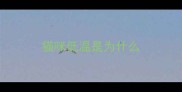 猫咪低温是为什么