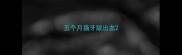 五个月猫牙龈出血