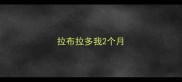 拉布拉多我2个月