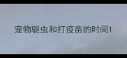 宠物驱虫和打疫苗的时间