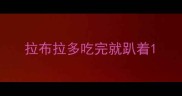 拉布拉多吃完就趴着