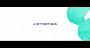小猫打疫苗后体温