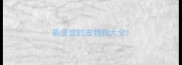 最便宜的宠物狗大全