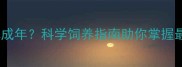 仓鼠几月算成年科学饲养指南助你掌握最佳养护期