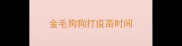金毛狗狗打疫苗时间