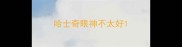 哈士奇眼神不太好