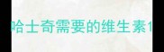 哈士奇需要的维生素