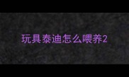 玩具泰迪怎么喂养