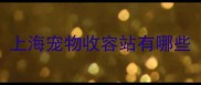 上海宠物收容站有哪些