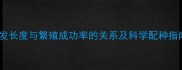 金毛犬配种前必看毛发长度与繁殖成功率的关系及科学配种指南附亲测有效选种表