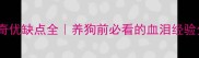 哈士奇优缺点全养狗前必看的血泪经验分享