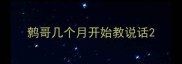 鹩哥几个月开始教说话