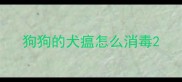 狗狗的犬瘟怎么消毒
