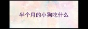 半个月的小狗吃什么