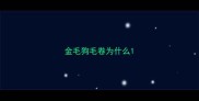 金毛狗毛卷为什么