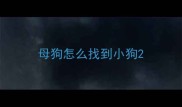 母狗怎么找到小狗