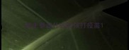新生泰迪什么时候打疫苗