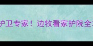 边境牧羊犬家庭护卫专家边牧看家护院全攻略与护主技巧大