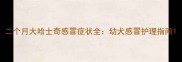 二个月大哈士奇感冒症状全幼犬感冒护理指南