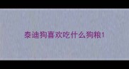 泰迪狗喜欢吃什么狗粮