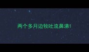 两个多月边牧吐流鼻涕