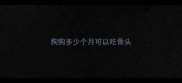 狗狗多少个月可以吃骨头