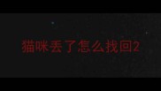 猫咪丢了怎么找回