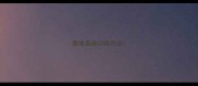 泰迪泰迪训练方法