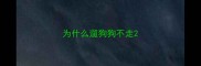 为什么遛狗狗不走