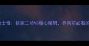 拉布拉多VS哈士奇拆家二哈VS暖心暖男养狗前必看的性格大对比