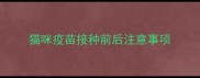 猫咪疫苗接种前后注意事项
