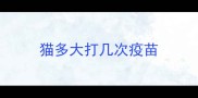 猫多大打几次疫苗