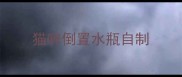 猫咪倒置水瓶自制