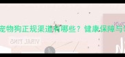 杭州购买宠物狗正规渠道有哪些健康保障与领养指南