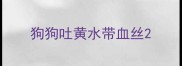 狗狗吐黄水带血丝