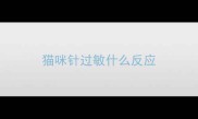 猫咪针过敏什么反应