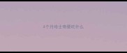 4个月哈士奇要吃什么