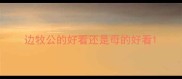 边牧公的好看还是母的好看
