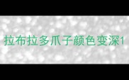拉布拉多爪子颜色变深
