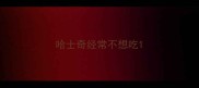 哈士奇经常不想吃