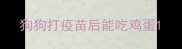 狗狗打疫苗后能吃鸡蛋