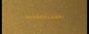 母的宠物狗怎么起名字