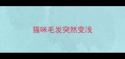 猫咪毛发突然变浅