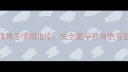 科学管理猫咪发情期指南安全避孕药与绝育替代方案全