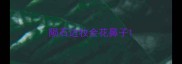 陨石边牧会花鼻子