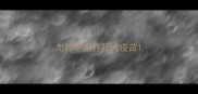 怎样不用打狂犬疫苗