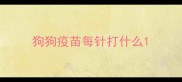 狗狗疫苗每针打什么