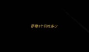 萨摩3个月吃多少