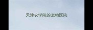 天津农学院的宠物医院